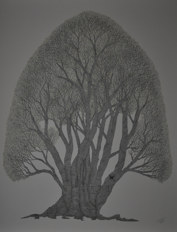 Pear 40x32.5 inches