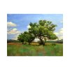 Oak Tree in Summer - 18 x 24 - Oil on Canvas