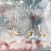 Saviano - Blowfish (2021) 30 x40 cm. Mixed Media on Canvas Board