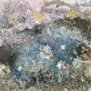 Saviano - Blue Coral (2021) 30x40 cm. Mixed Media on Canvas Board